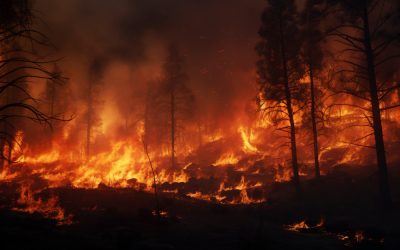 Συνεχίζεται για 8η συνεχόμενη μέρα ο εφιάλτης στην Βόρεια Εύβοια