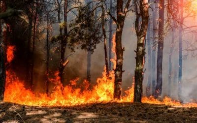ΣΥΝΕΧΙΖΕΤΑΙ  ”ΕΠΙΤΥΧΩΣ”  ΤΟ  ΟΛΟΚΑΥΤΩΜΑ….