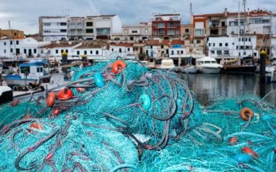 Aid up to € 700.000 to Existing Fisheries Companies. Submissions until 15/10/2021