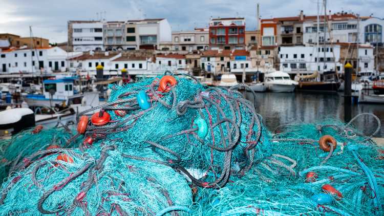 &epsilon;&pi;&iota;&chi;&epsilon;&iota;&rho;ή&sigma;&epsilon;&iota;&sigmaf; &Alpha;&lambda;&iota;&epsilon;ί&alpha;&sigmaf;
