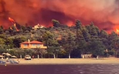 ΚΙ  ΑΛΛΗ  ΑΔΕΛΦΗ  ΣΤΟ  ΚΟΛΠΟ… ΠΑΕΙ  ΣΟΪ  ΤΟ  ΒΑΣΙΛΕΙΟ