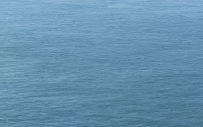 Aνακοίνωση του κ. Δένδια 2021: Διάβημα διαμαρτυρίας για τουρκική παρενόχληση