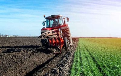 How young farmers will get 420 million euros. The conditions for the integration of farmers aged 18-41 in the action of the Ministry of Rural Development