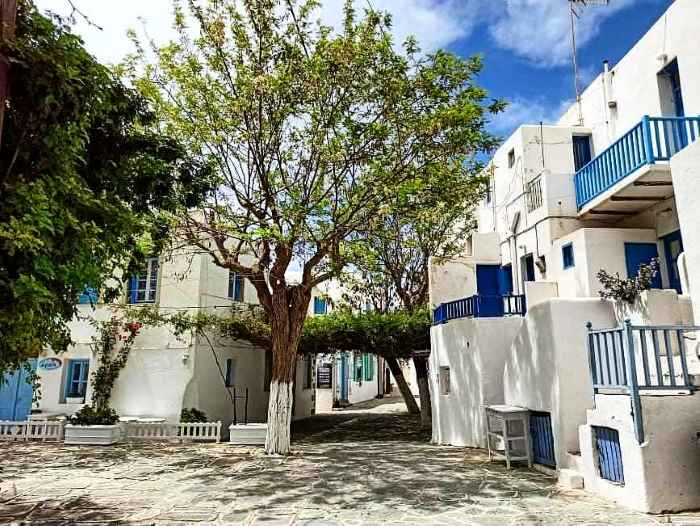 &Phi;&omicron;&lambda;έ&gamma;&alpha;&nu;&delta;&rho;&omicron;