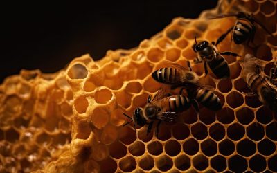 Οι εξαιρέσεις για το μελισσοκομικό έτος 2021