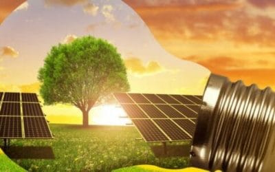 Πράσινη ενέργεια: Η λύση στη κρίση απασχόλησης που προκάλεσε η Covid-19