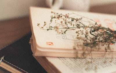 ΣΤΟ ΓΙΩΡΓΑΚΙ ΜΑΣ Κάποτε ένα ανθρωπάκι