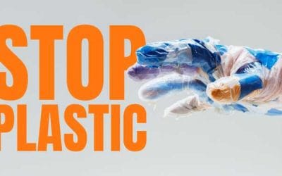 Sweden: No more disposable plastics - And fine fine for chewing gum and cigarette butts