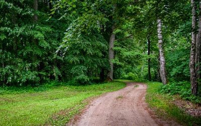 Tourism during COVID-19: Before and After
