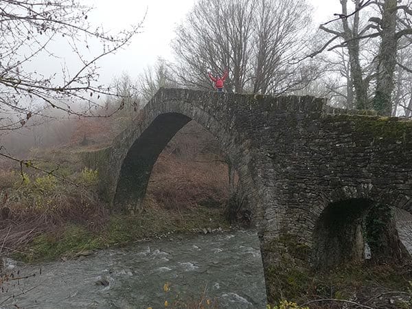 photo 007 petsioni bridge