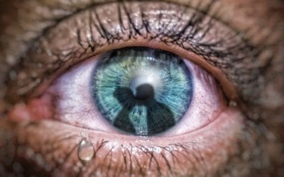 Αρρωστημένη ζήλεια: Καλό, ή κακό στην εξέλιξη της πορείας της ζωής μας;