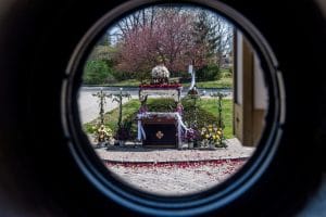 279263123 537974091231317 5836823621849740245 n