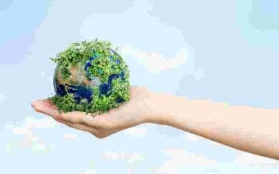 Supreme Court Limits EPA's Ability to Regulate Carbon Dioxide Emissions