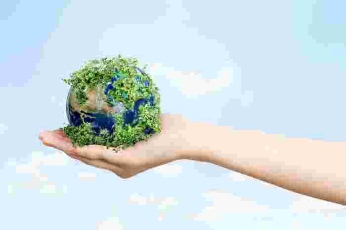 Supreme Court Limits EPA's Ability to Regulate Carbon Dioxide Emissions