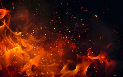 Συνδρομή της Ελληνικής Αστυνομίας στην αντιμετώπιση της πυρκαγιάς σε περιοχές της Νοτιοανατολικής Αττικής