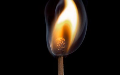 Συνδρομή της Ελληνικής Αστυνομίας στην αντιμετώπιση της πυρκαγιάς σε περιοχή της Εύβοιας