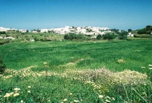 Επίσκεψη στη Σίφνο 1 Εξάμπελα το χωριό του Νικολάου Τσελεμεντέ