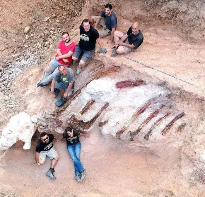 Εύρημα δεινοσαύρου σε αυλή σπιτιού στην Πορτογαλία