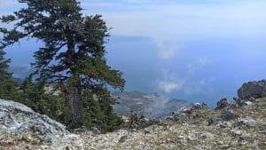 FB IMG 1660908859865