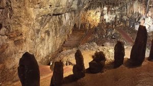 FB IMG 1660909018606