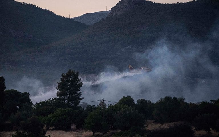 Ecological restoration of fire-afflicted Dadia national park already underway, says Skrekas
