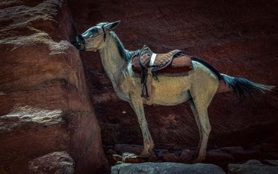 Γιατί η βία θεωρείται αυτονόητη;