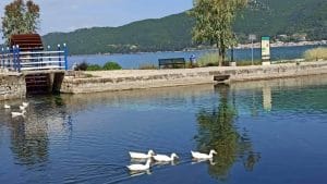 received 1067307603983739