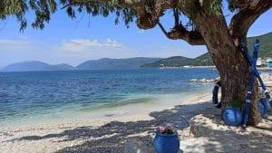 received 1124125788314020