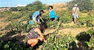 received 1533804680408079