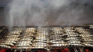 received 589627942895060