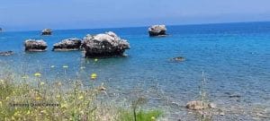 received 602306694675184