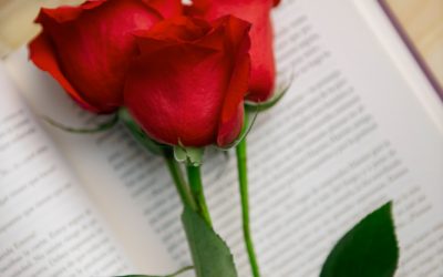 Ποίηση – Η Πατρίδα της ξενιτιάς μας