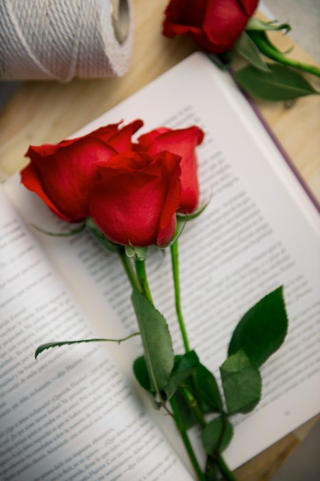 Ποίηση Ποίηση