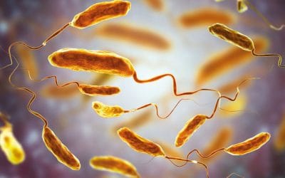 Μεγάλη προσοχή: ασθένεια που μπορεί να προκαλέσει γάγγραινα εμφανίστηκε στην Φλόριντα μετά τις πλημμύρες