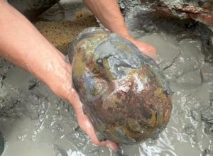 Capture 27 600x440 1