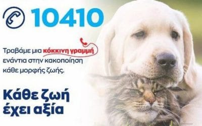 10410- Η νέα τηλεφωνική γραμμή για την προστασία των ζώων