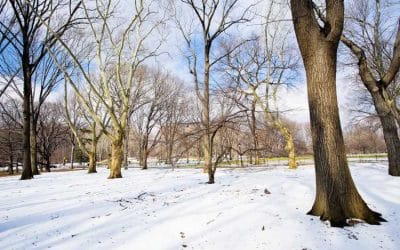 Fed warns 'major' winter storm could hit US this week