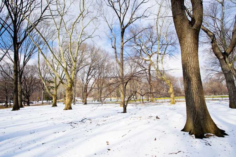 Fed warns 'major' winter storm could hit US this week