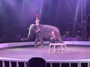 319879684 896021104750560 8883557381114746880 n