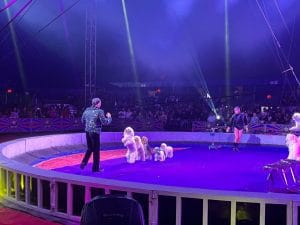 320382181 1566408913818706 8800411854614393104 n