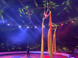 320925875 1886147691734287 2359743870684112531 n