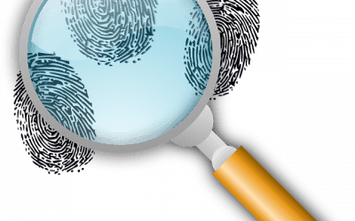 Δηλώσεις σχετικά με εξάρθρωση εγκληματικής οργάνωσης διεθνικού χαρακτήρα