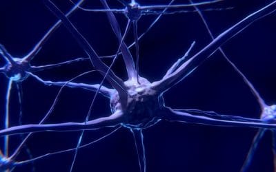 Η πανδημία γέρασε πρόωρα των εγκέφαλο των εφήβων, αναφέρει μελέτη