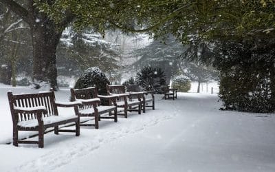 Χριστούγεννα πάλι
