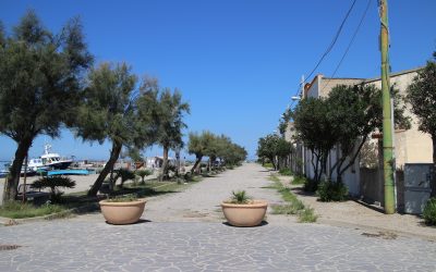 Πυροβόλησαν άντρα στο κέντρο της Καλαμάτας