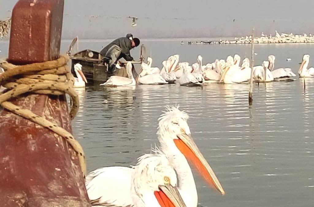 Λίμνη Κερκίνη, ένας ονειρικός τόπος