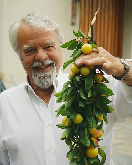 Θεόδωρος Πίτσιος