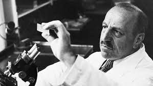 ΠΑΠΑΝΙΚΟΛΑΟΥ ΓΕΩΡΓΙΟΣ 1