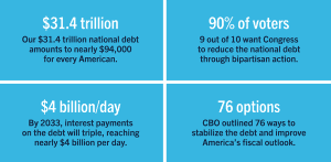 Debt Information Graphic