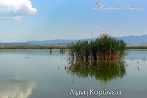 Κορωνεια 03